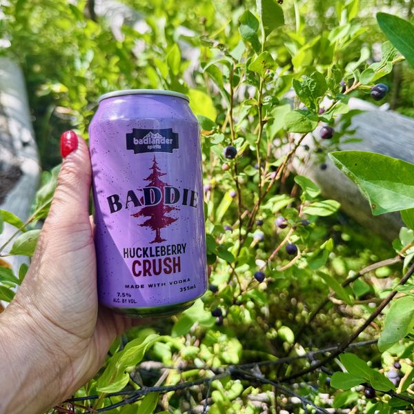 Can of Badlander Huckleberry Crush held in front of a huckleberry bush.
